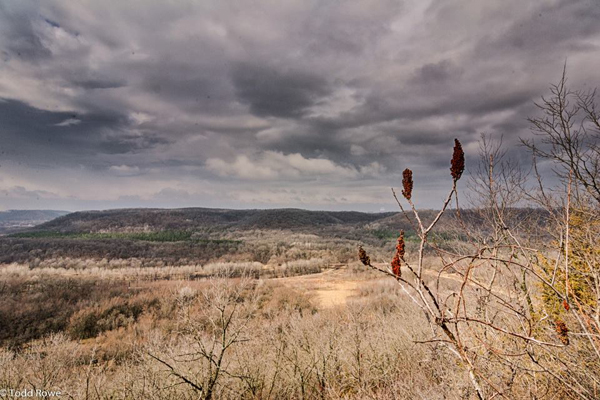 Zumbro River Valley - Photo Credit Todd Rowe