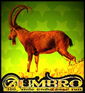 zumbro-100-orange-ibex